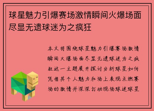 球星魅力引爆赛场激情瞬间火爆场面尽显无遗球迷为之疯狂