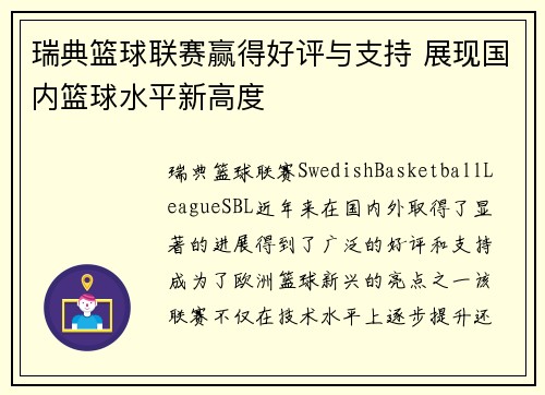 瑞典篮球联赛赢得好评与支持 展现国内篮球水平新高度