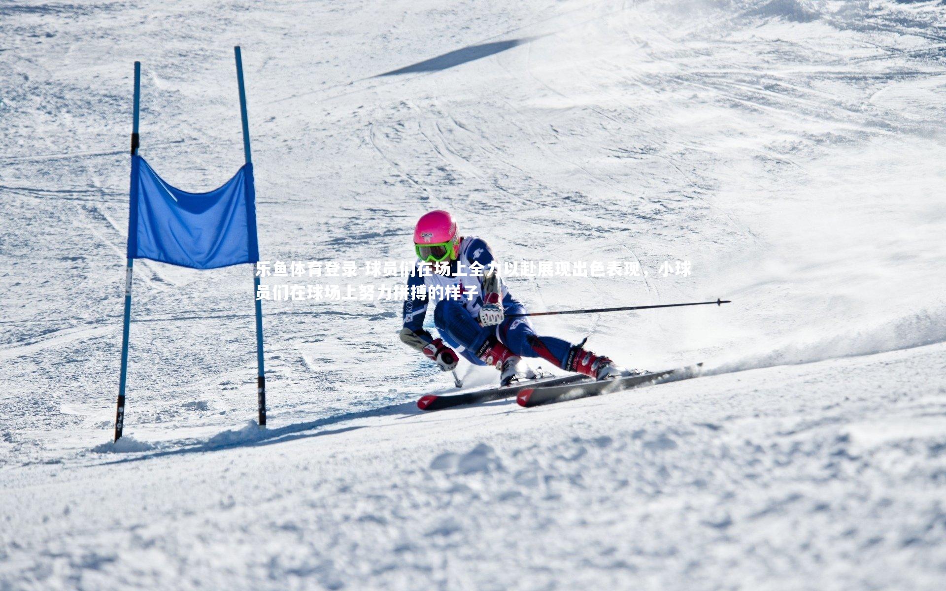 乐鱼体育登录-球员们在场上全力以赴展现出色表现，小球员们在球场上努力拼搏的样子