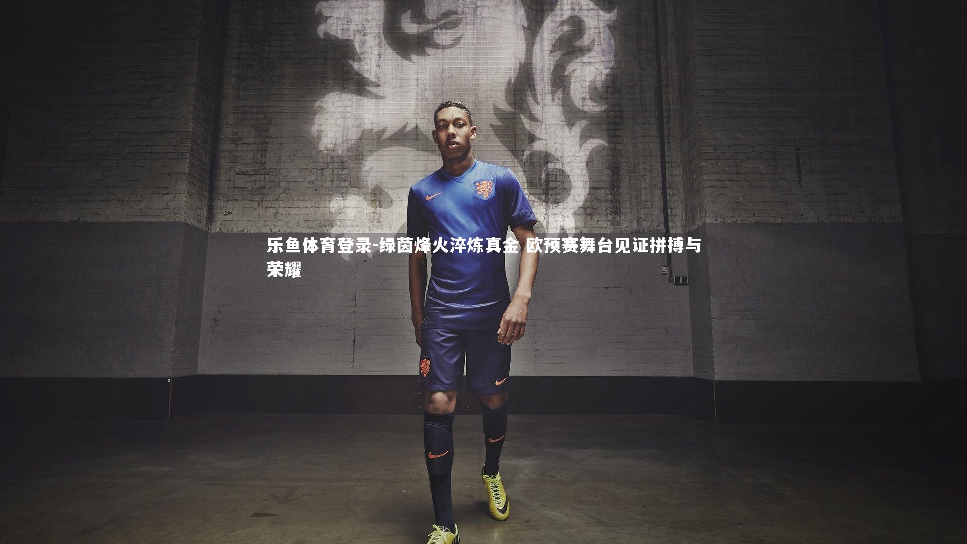 乐鱼体育登录-绿茵烽火淬炼真金 欧预赛舞台见证拼搏与荣耀